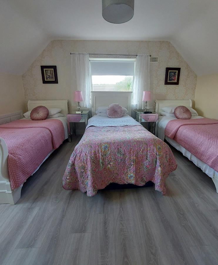 Brandon View House B&B Graiguenamanagh Buitenkant foto
