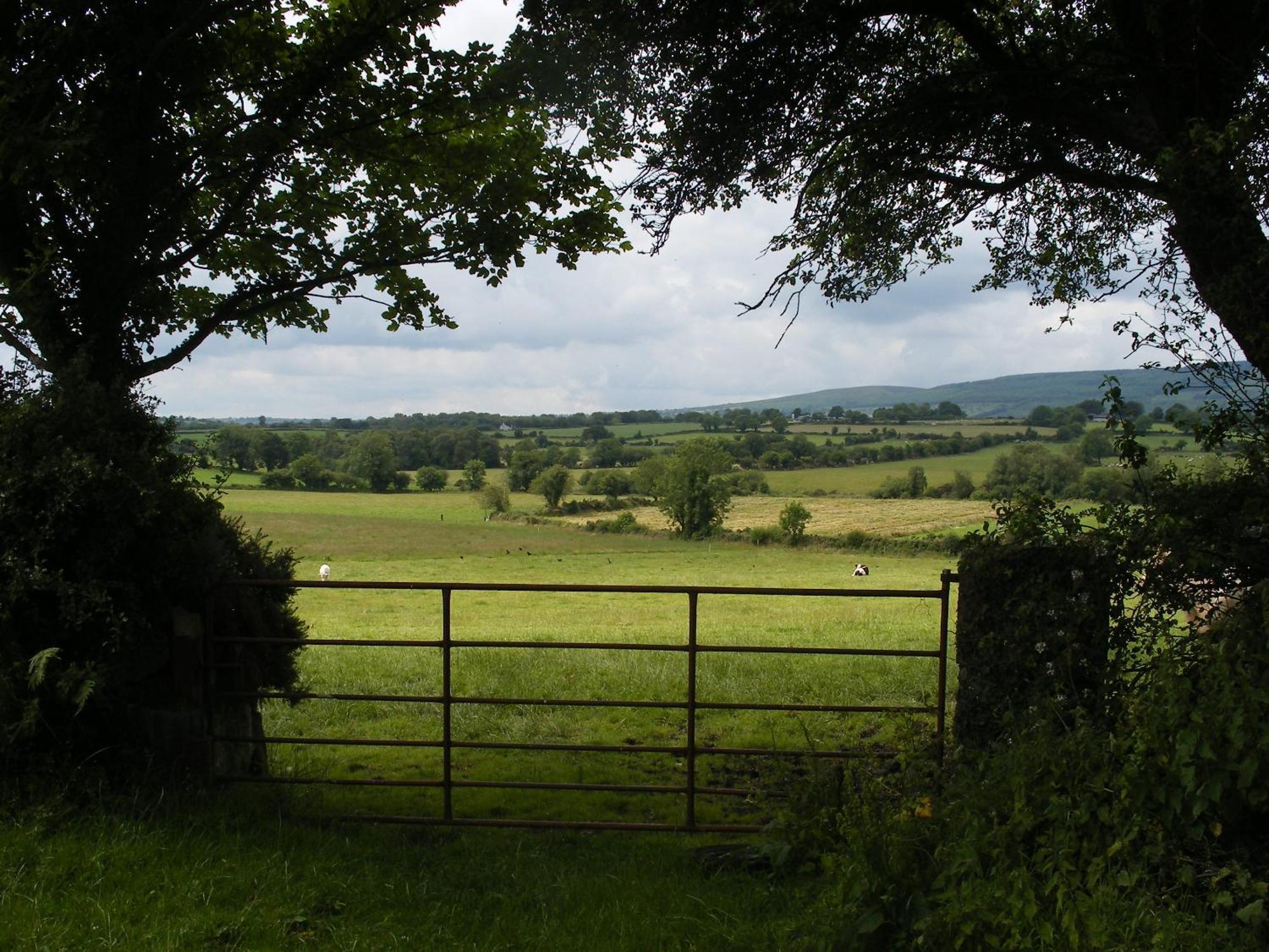 Brandon View House B&B Graiguenamanagh Buitenkant foto