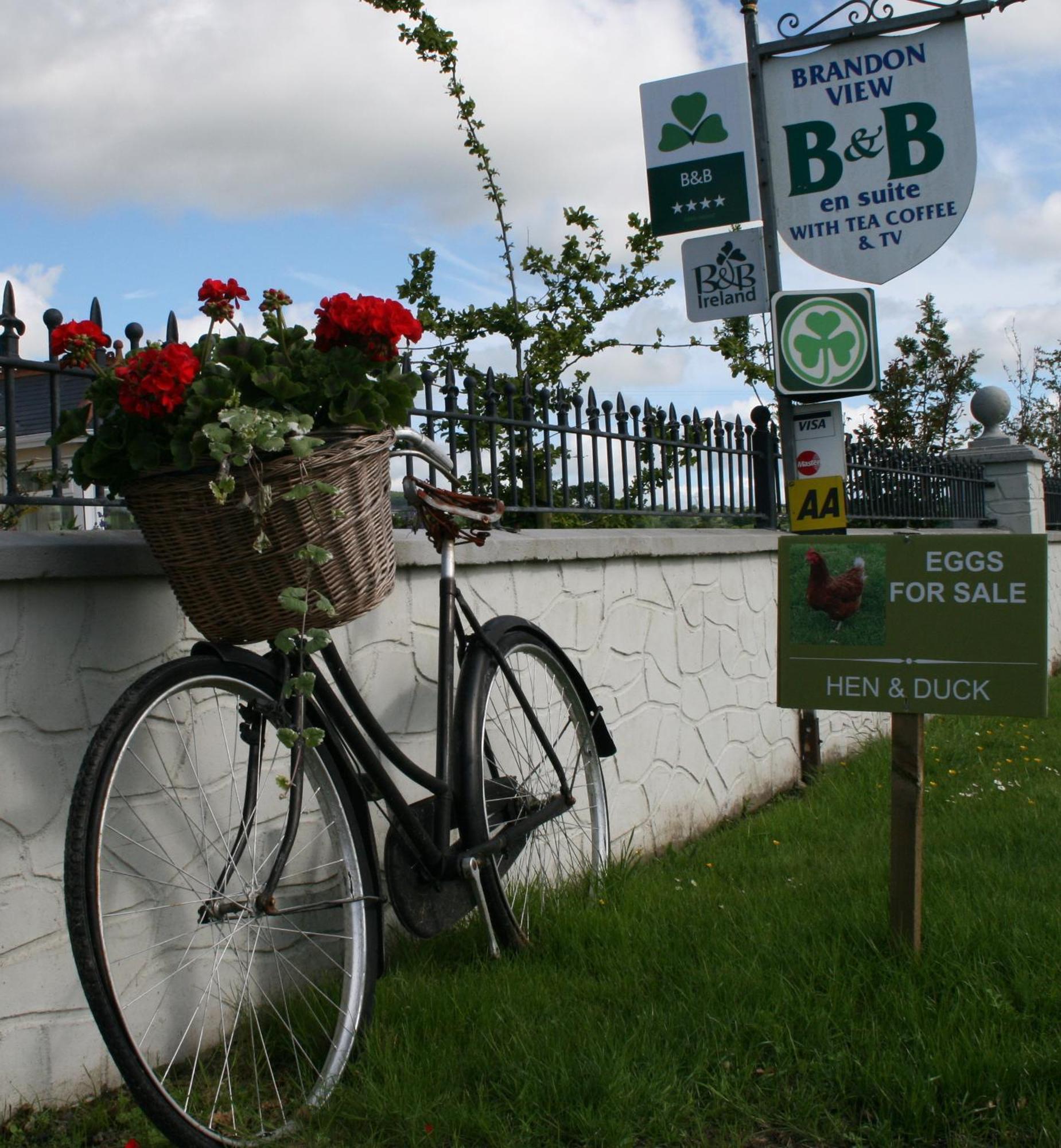 Brandon View House B&B Graiguenamanagh Buitenkant foto