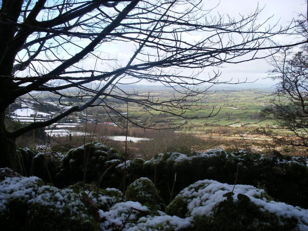 Brandon View House B&B Graiguenamanagh Buitenkant foto