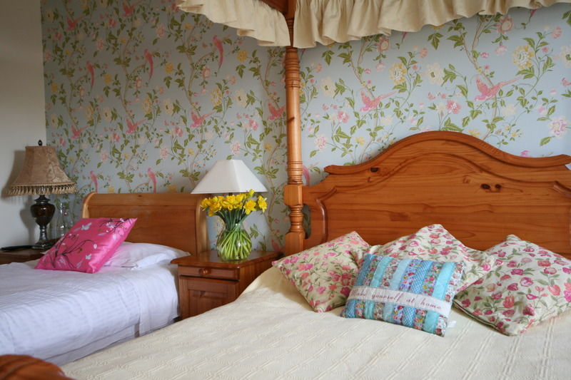 Brandon View House B&B Graiguenamanagh Buitenkant foto
