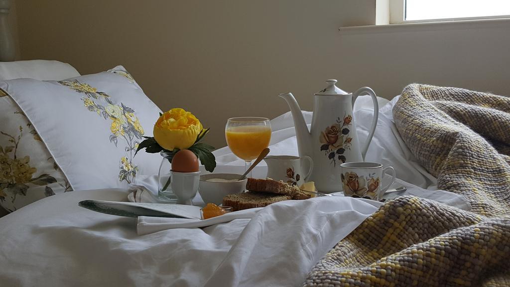 Brandon View House B&B Graiguenamanagh Buitenkant foto