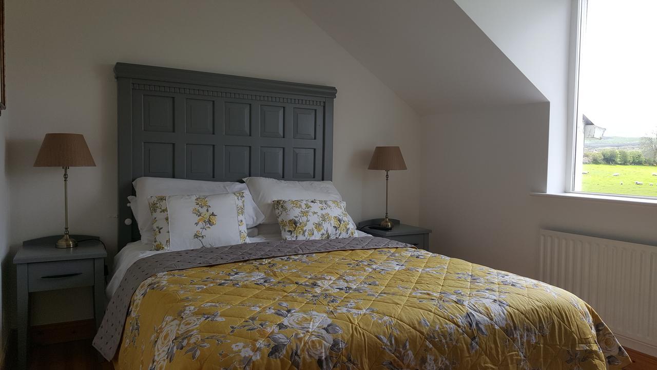 Brandon View House B&B Graiguenamanagh Buitenkant foto