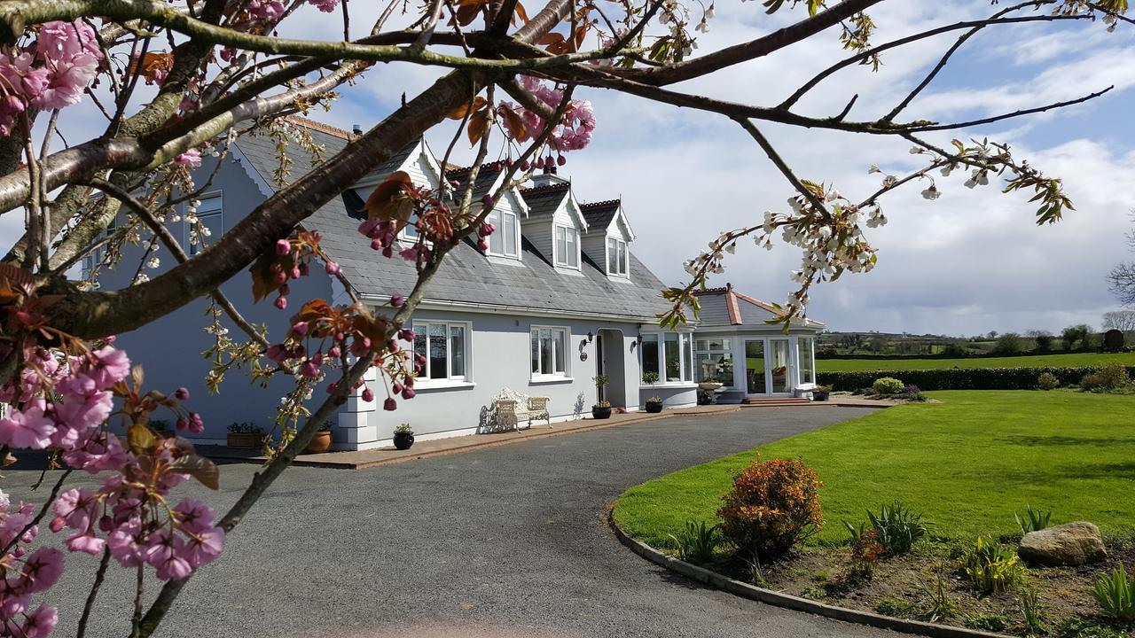 Brandon View House B&B Graiguenamanagh Buitenkant foto