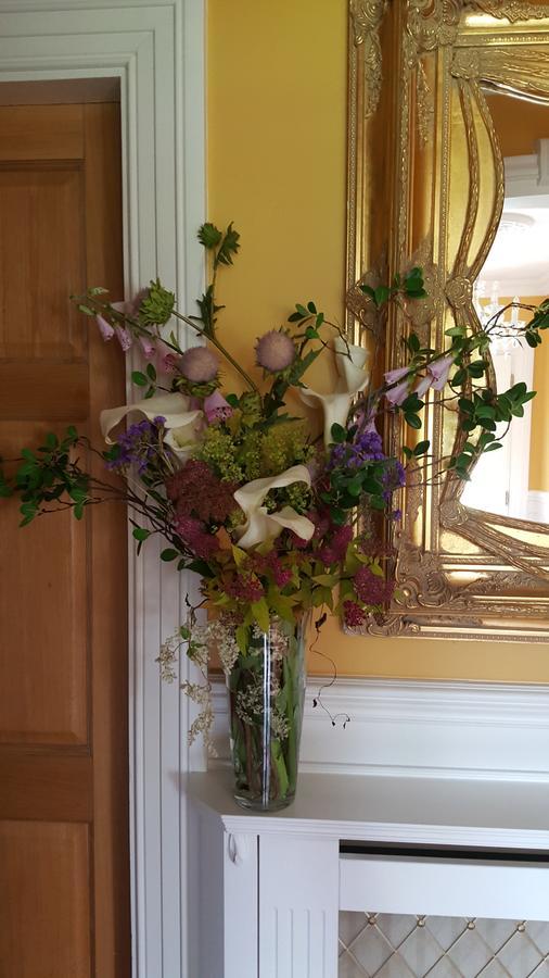 Brandon View House B&B Graiguenamanagh Buitenkant foto