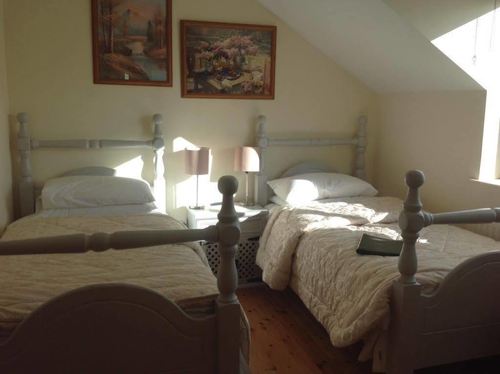 Brandon View House B&B Graiguenamanagh Buitenkant foto