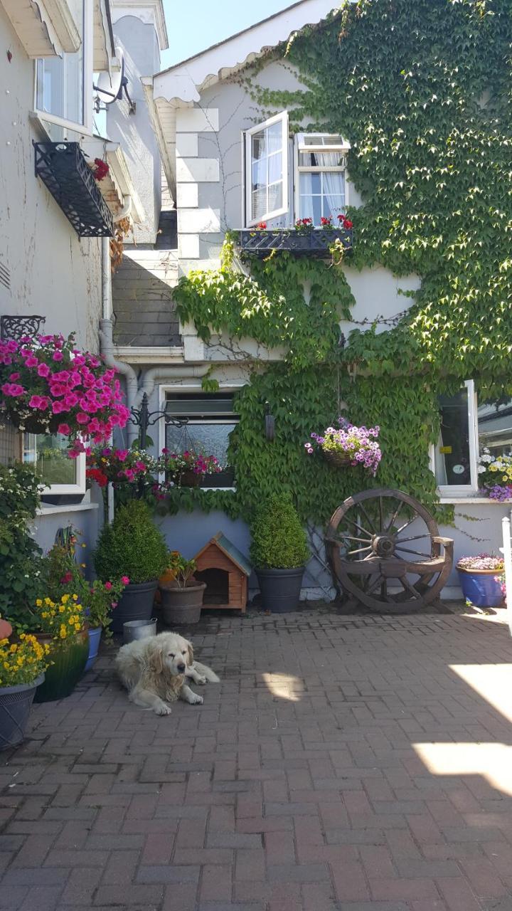 Brandon View House B&B Graiguenamanagh Buitenkant foto