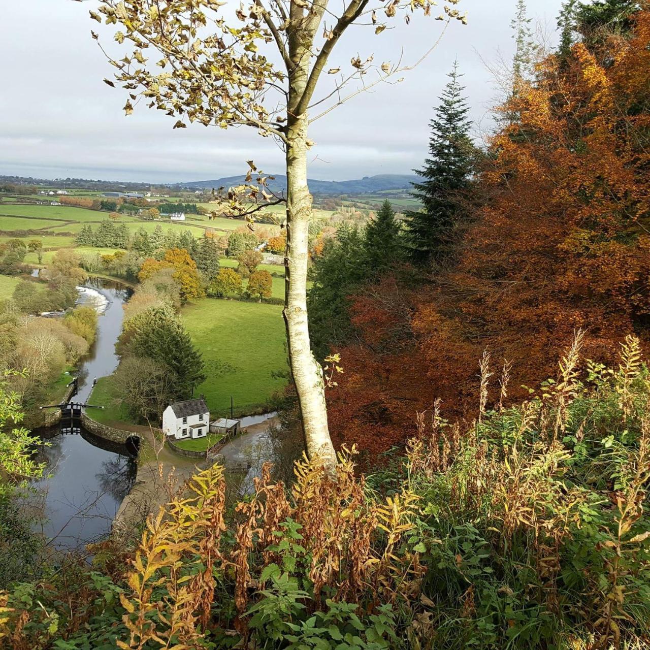 Brandon View House B&B Graiguenamanagh Buitenkant foto